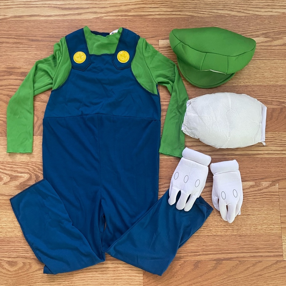 Nintendo Green and Blue Adventure Costume